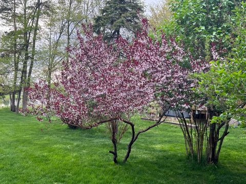 Tiny photo for 10085 Holly Lane, Morton Township, MI 49346 (MLS # 72026013592)