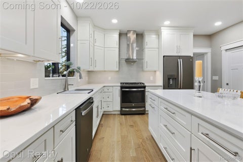 Tiny photo for 515 River Street, Northville City, MI 48167 (MLS # 20261084404)