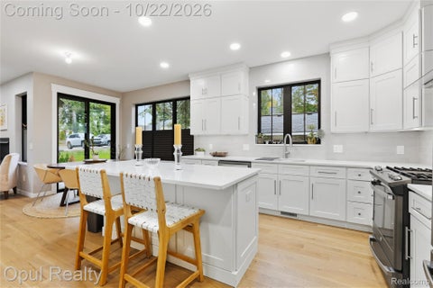 Tiny photo for 515 River Street, Northville City, MI 48167 (MLS # 20261084404)