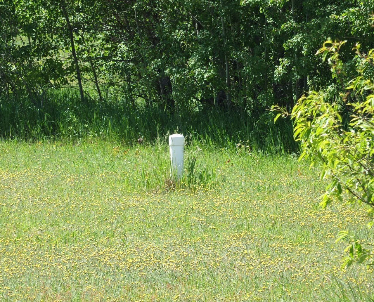 Lot 31 Kingsfield Drive