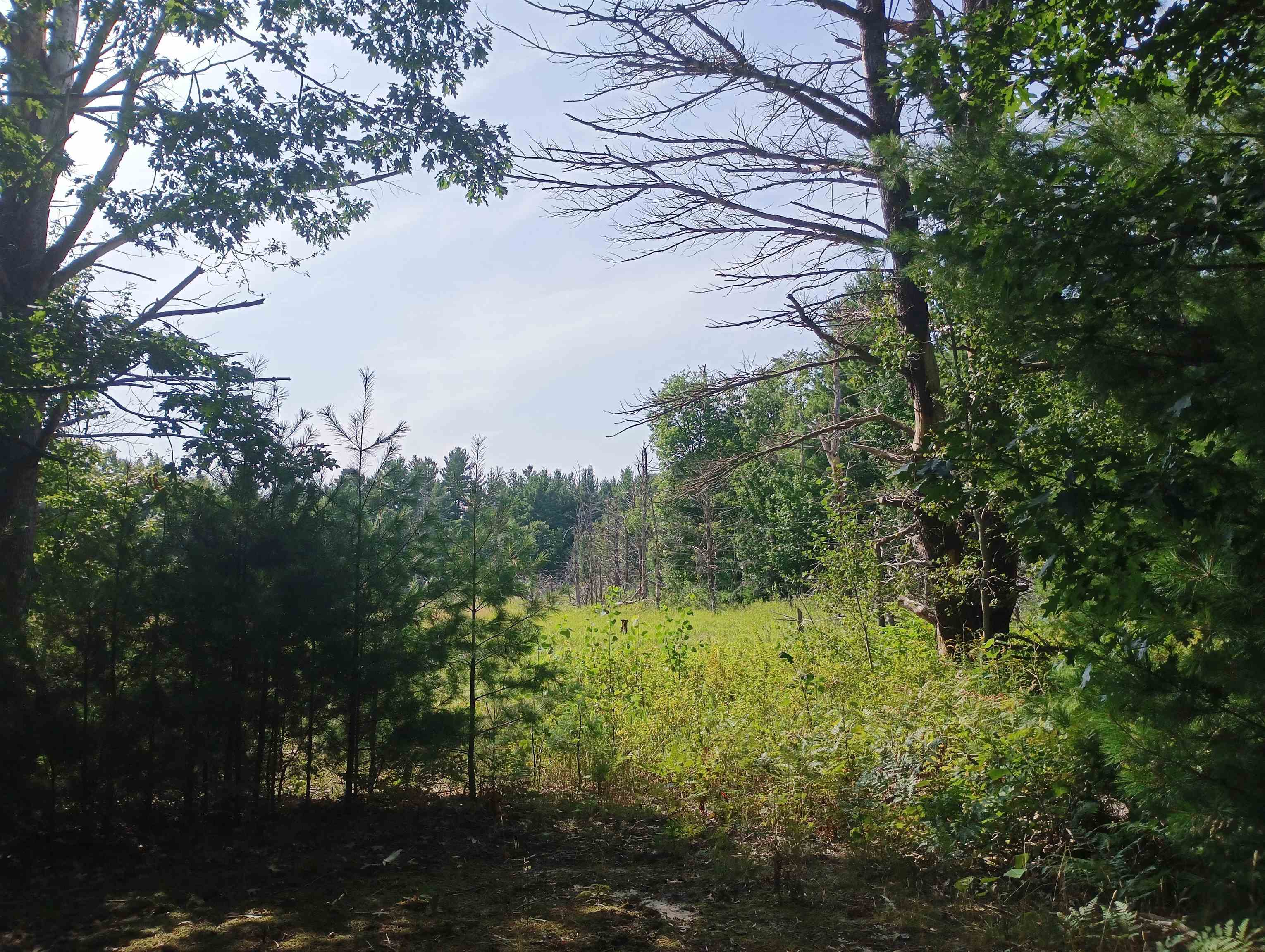 28 Acres Wallaker Road