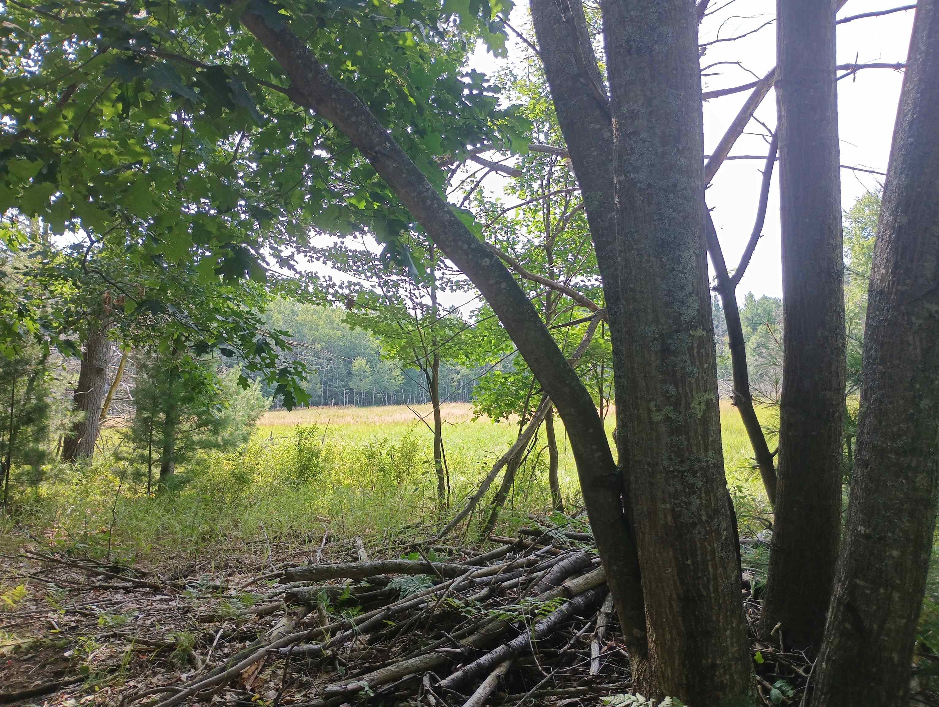 28 Acres Wallaker Road