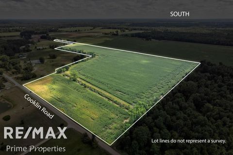 0000 Cooklin Road Ellington Township MI 48726
