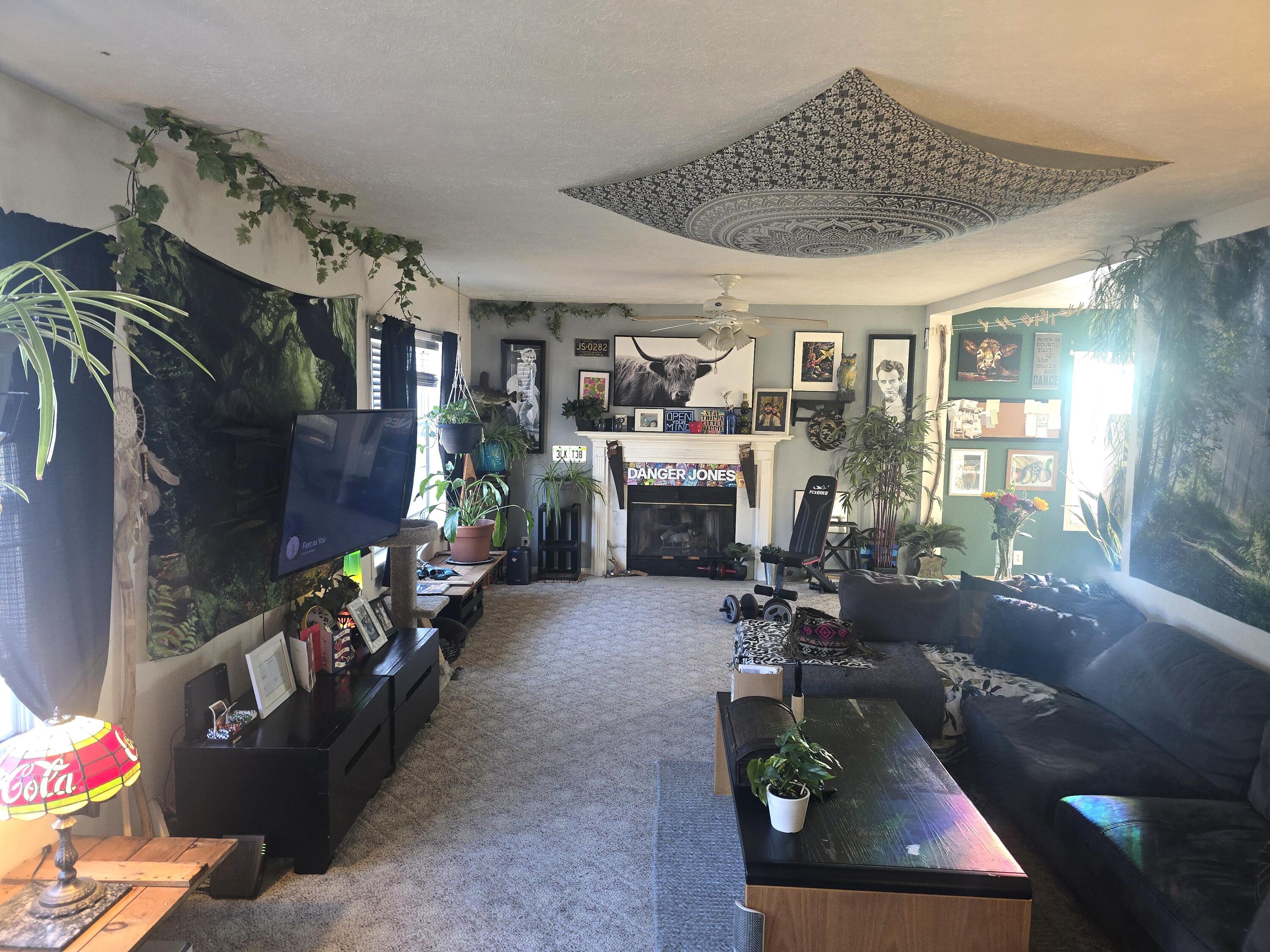 4314 Meadowsweet Lane