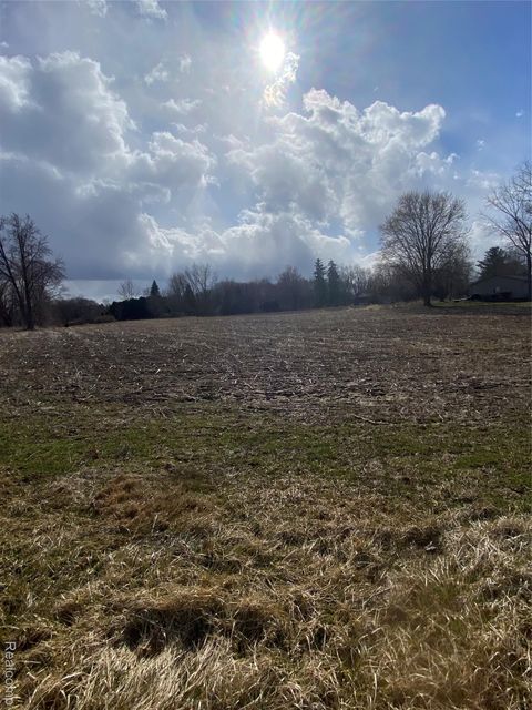 7036 Rea Lane Almont Township MI 48003