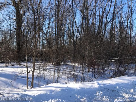 20 Vacant Lots Concord, Cranbrook & Tulane Marlette City MI 48453