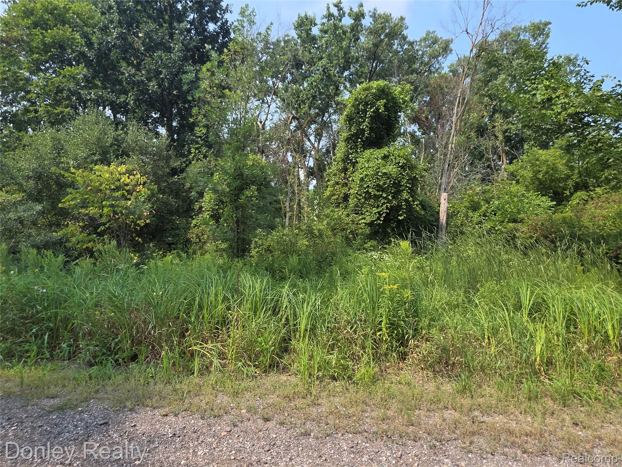 20 Vacant Lots Concord, Cranbrook & Tulane