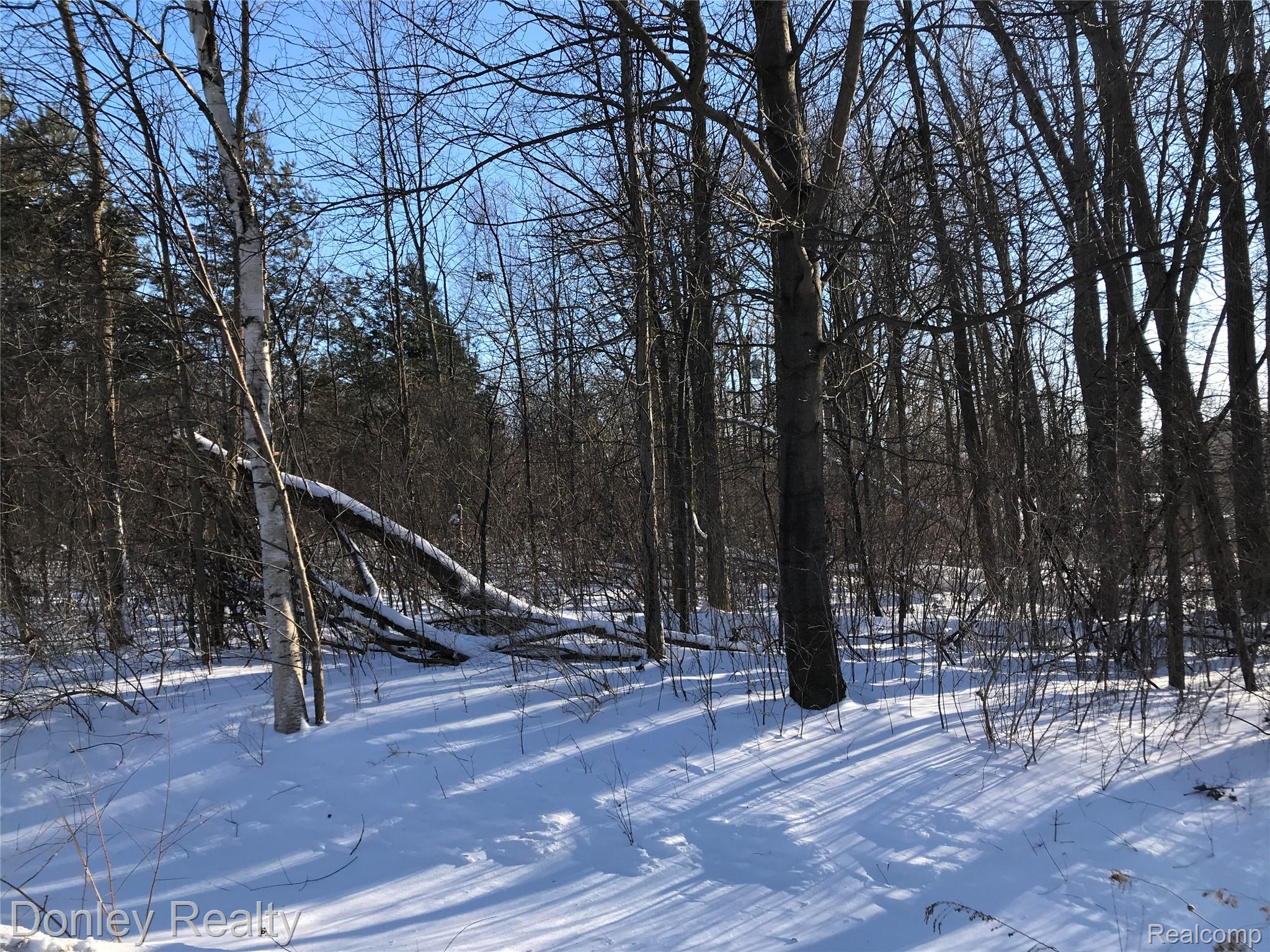 20 Vacant Lots Concord, Cranbrook & Tulane