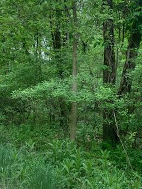 Lots 12-13 Crandall Howell Township MI 48855