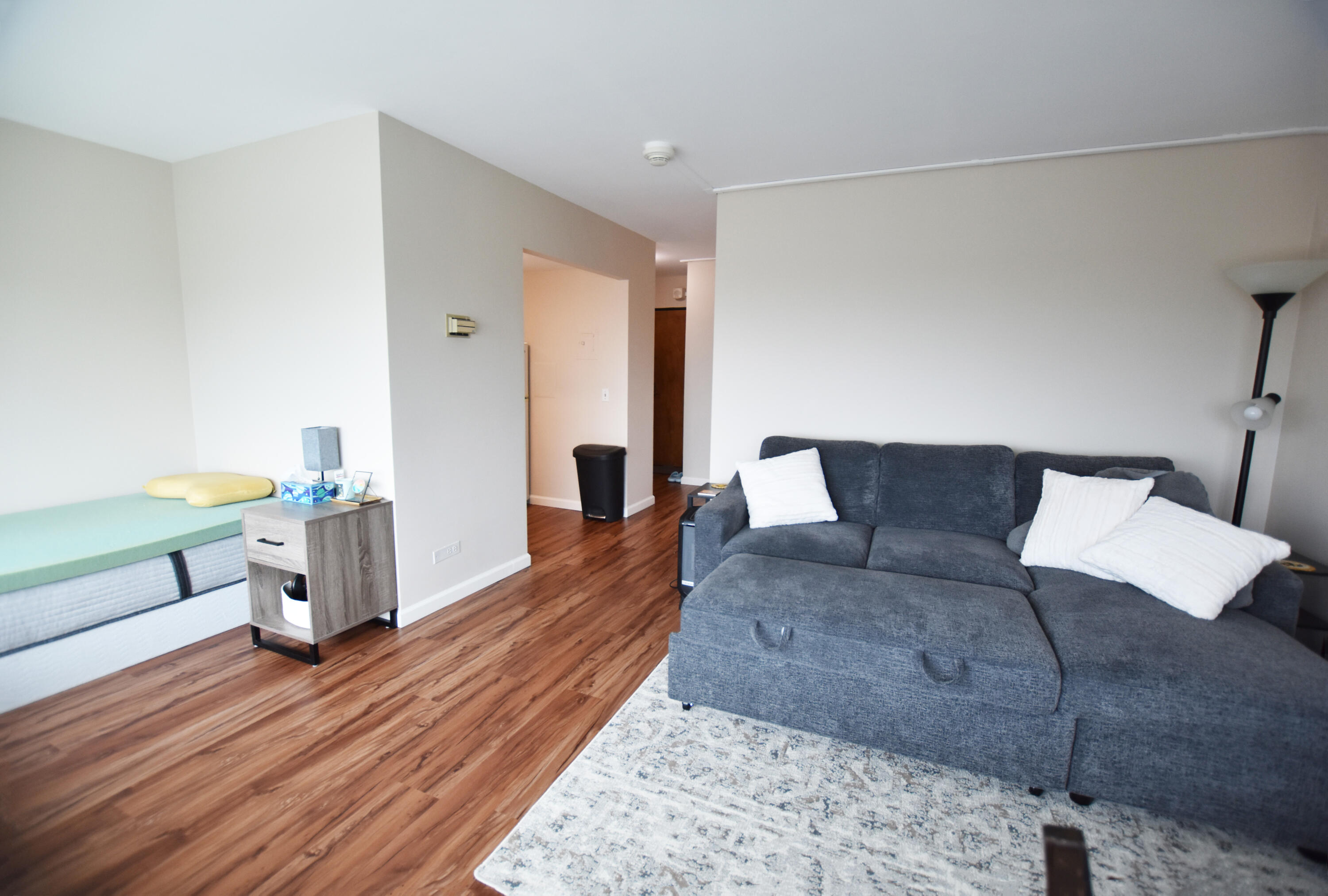 555 E William Street 17B