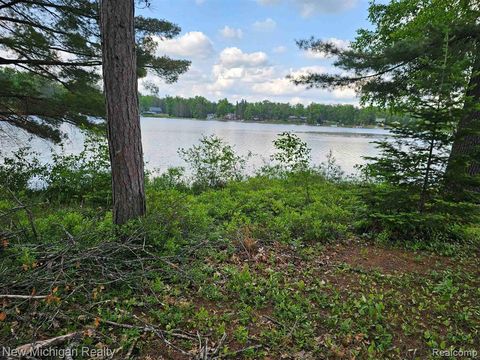 Lot 12 Paradise Drive Plainfield Township MI 48761