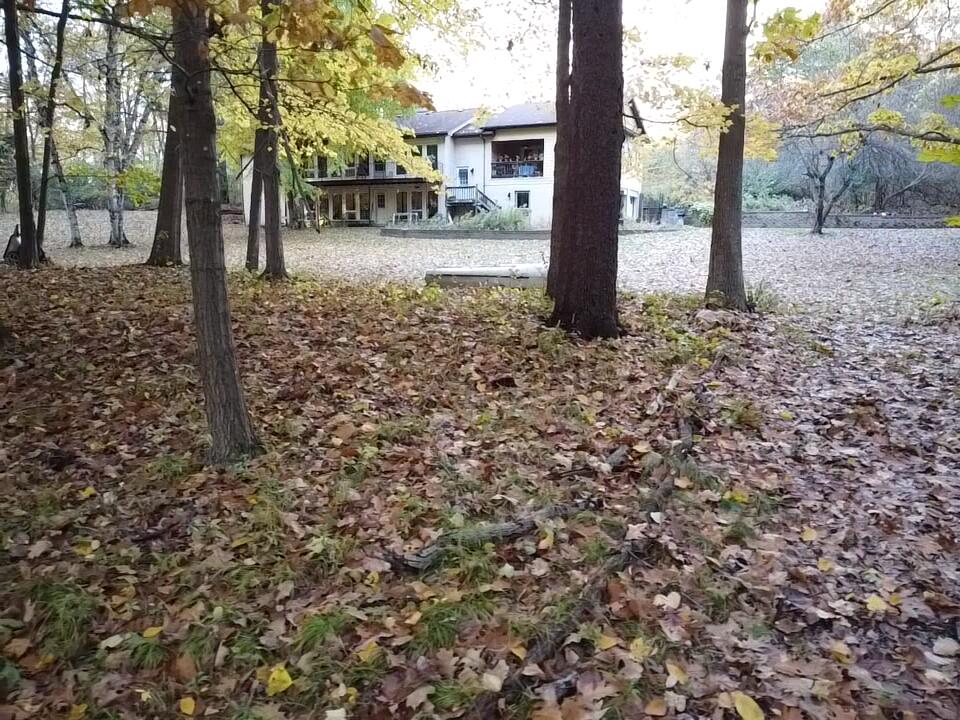 22649 N Dixboro Road