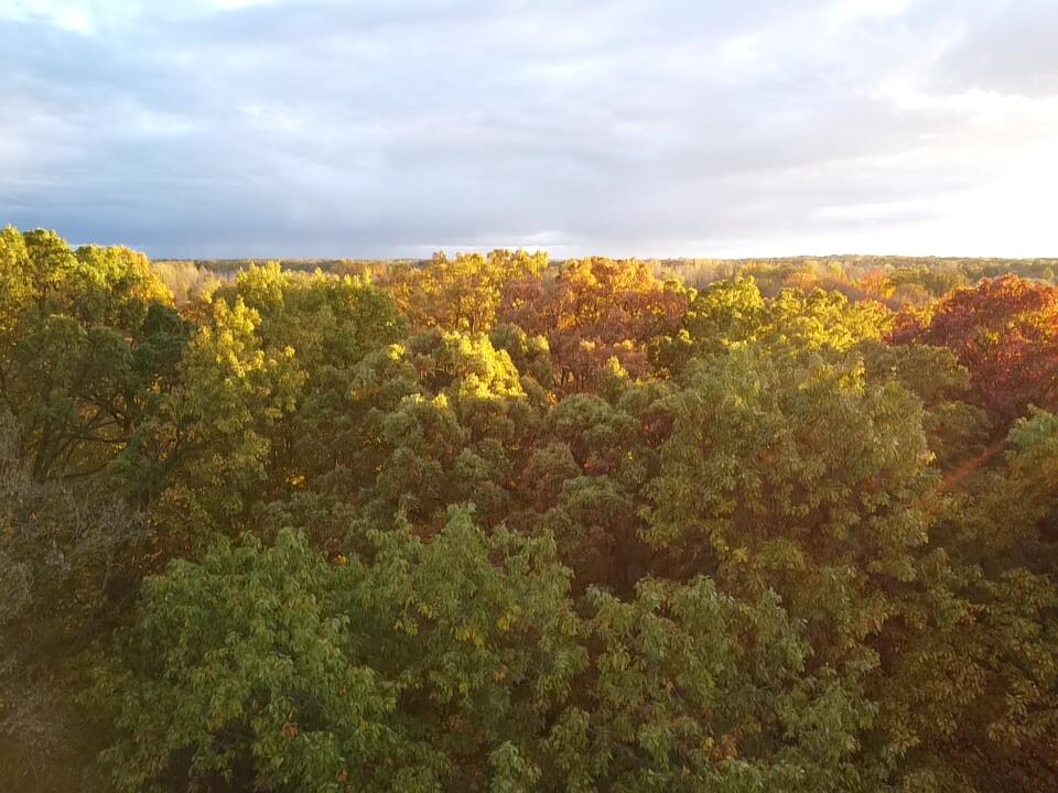 22649 N Dixboro Road