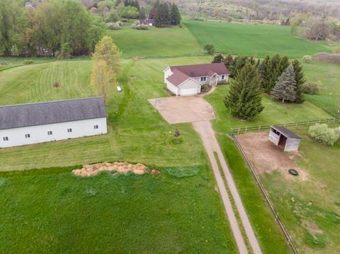 6520 Peckins Lane Sharon Township MI 48158