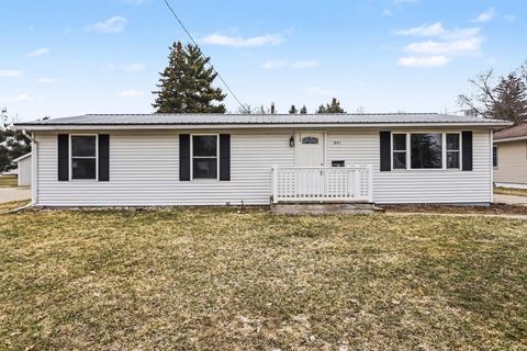 351 Roosevelt Street Bronson City MI 49028