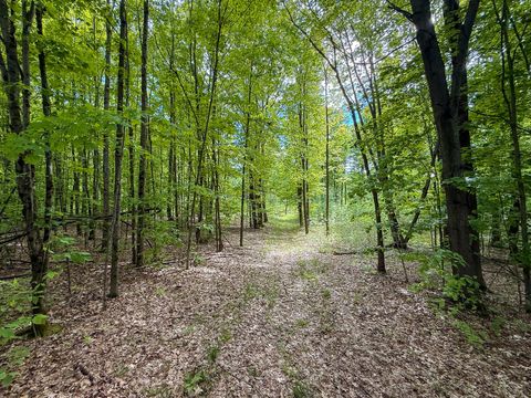 V/L S Deer Lake Road Pinora Township MI 49677