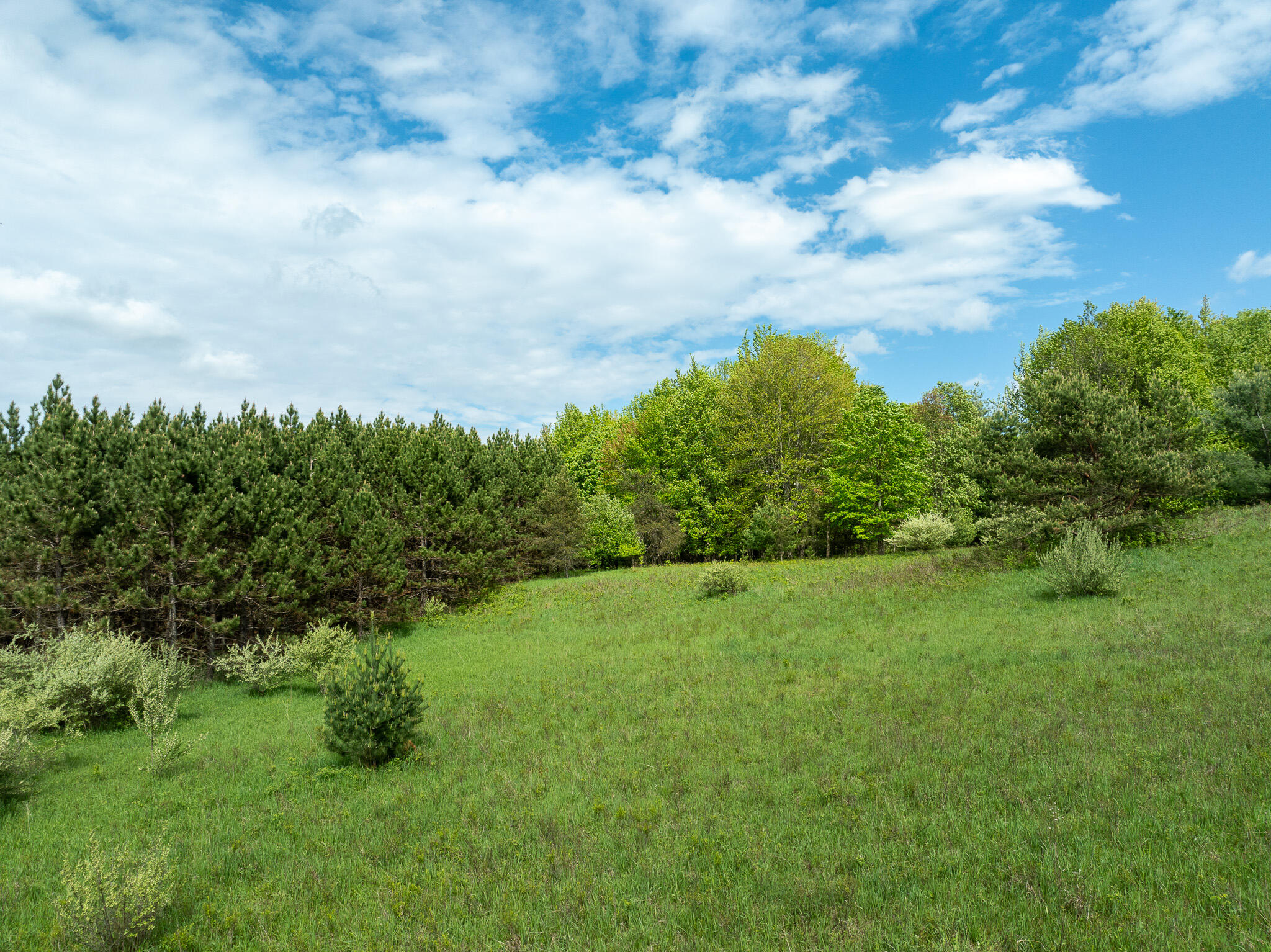 157.22 E 24th Street