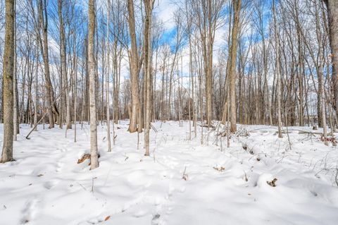 Tiny photo for 16688 Canyon Cove, Big Rapids Charter Township, MI 49307 (MLS # 72026001861)