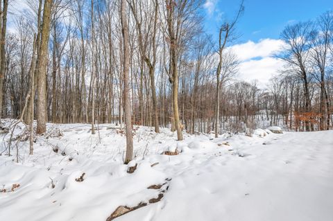 Tiny photo for 16688 Canyon Cove, Big Rapids Charter Township, MI 49307 (MLS # 72026001861)