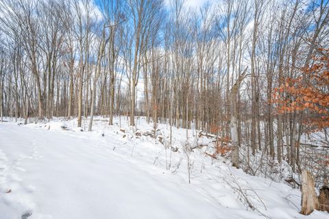 Tiny photo for 16688 Canyon Cove, Big Rapids Charter Township, MI 49307 (MLS # 72026001861)