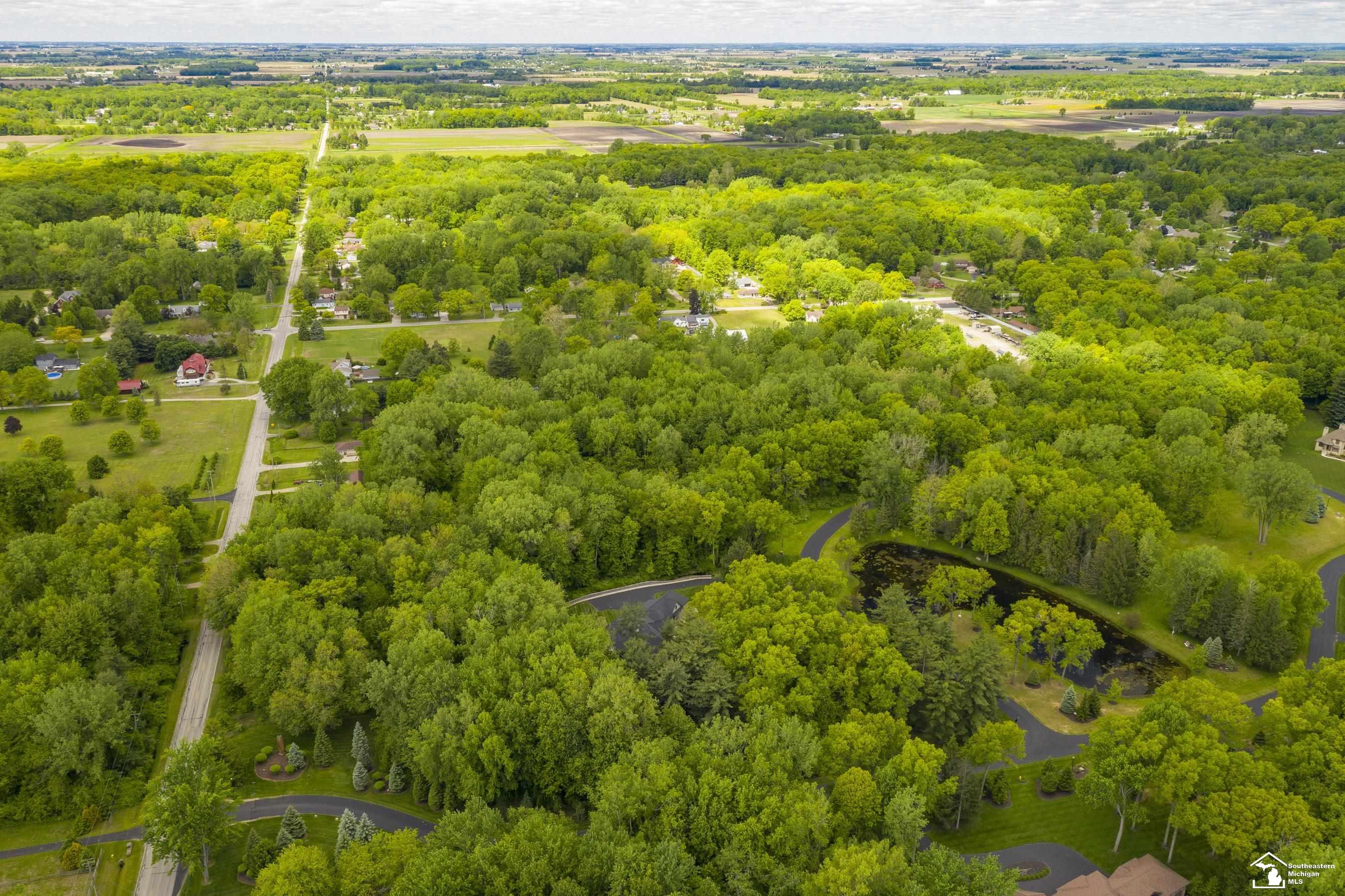 9107 Pine Forest Circle