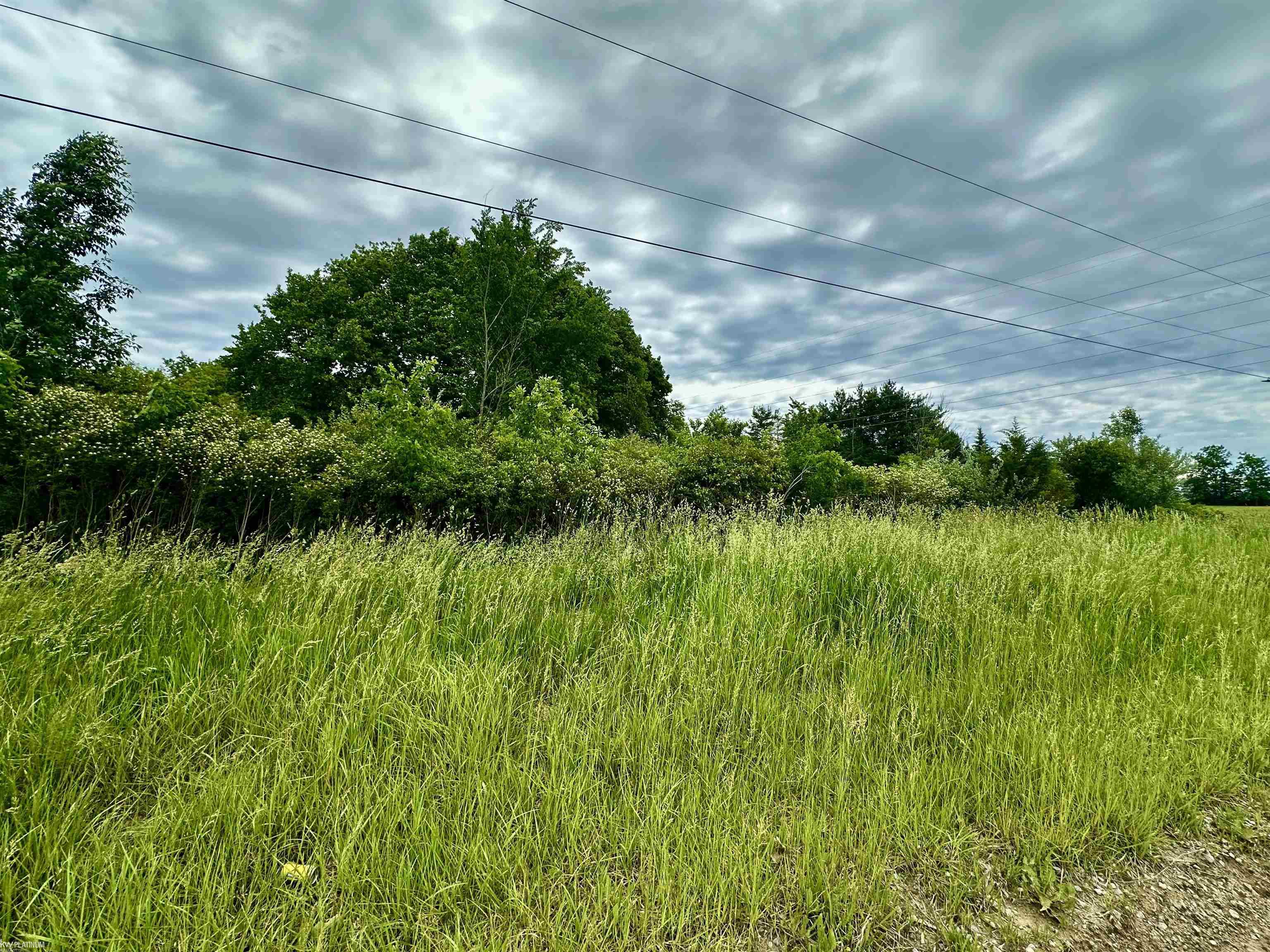 PARCEL "5" BRAIDWOOD Road