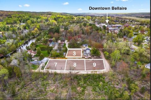 Lot 9 Mallard Lane Kearney Township MI 49615