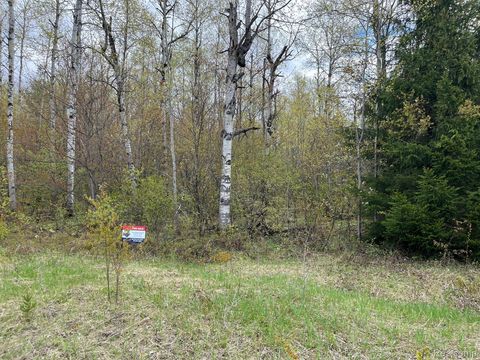 000 Pineview Drive Star Township MI 49730