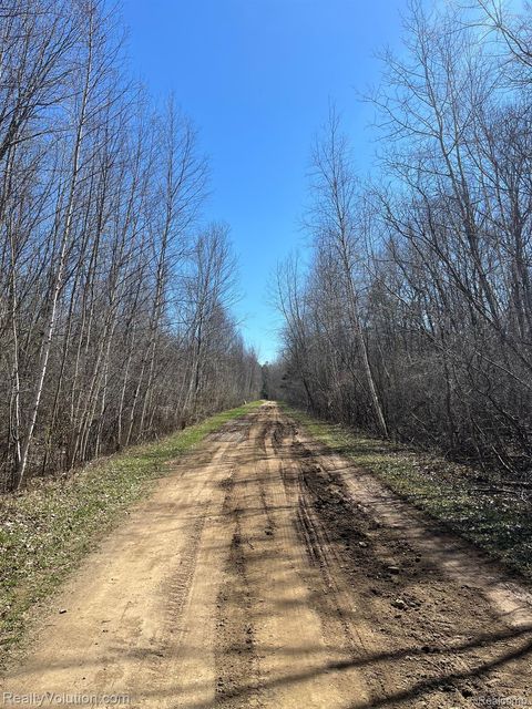 0 CHIPPEWA Trail Novesta Township MI 48726
