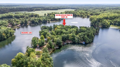Tiny photo for 524 McLachlan Point Road, Evart Township, MI 49631 (MLS # 72026045966)
