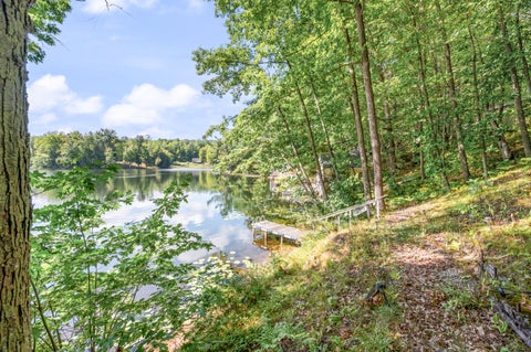 Tiny photo for 524 McLachlan Point Road, Evart Township, MI 49631 (MLS # 72026045966)