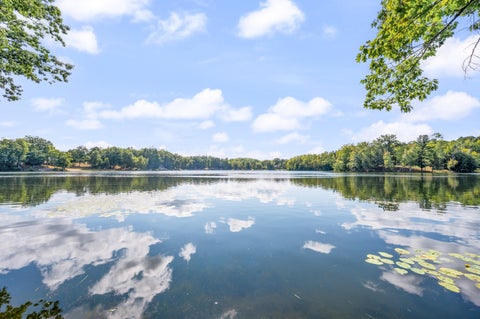 Tiny photo for 524 McLachlan Point Road, Evart Township, MI 49631 (MLS # 72026045966)