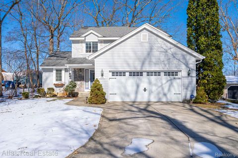 10235 Park Drive Atlas Township MI 48438