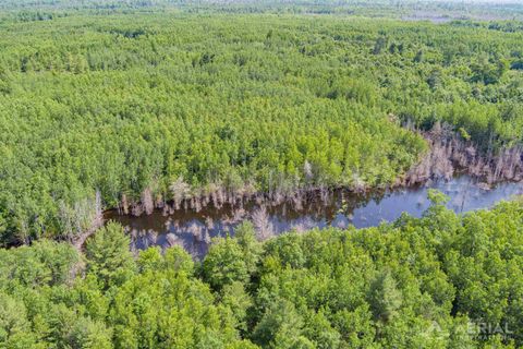 0 Co Road 646 Rogers Township MI 49779