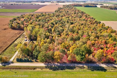 4000 S Reese Road Frankenmuth Township MI 48734