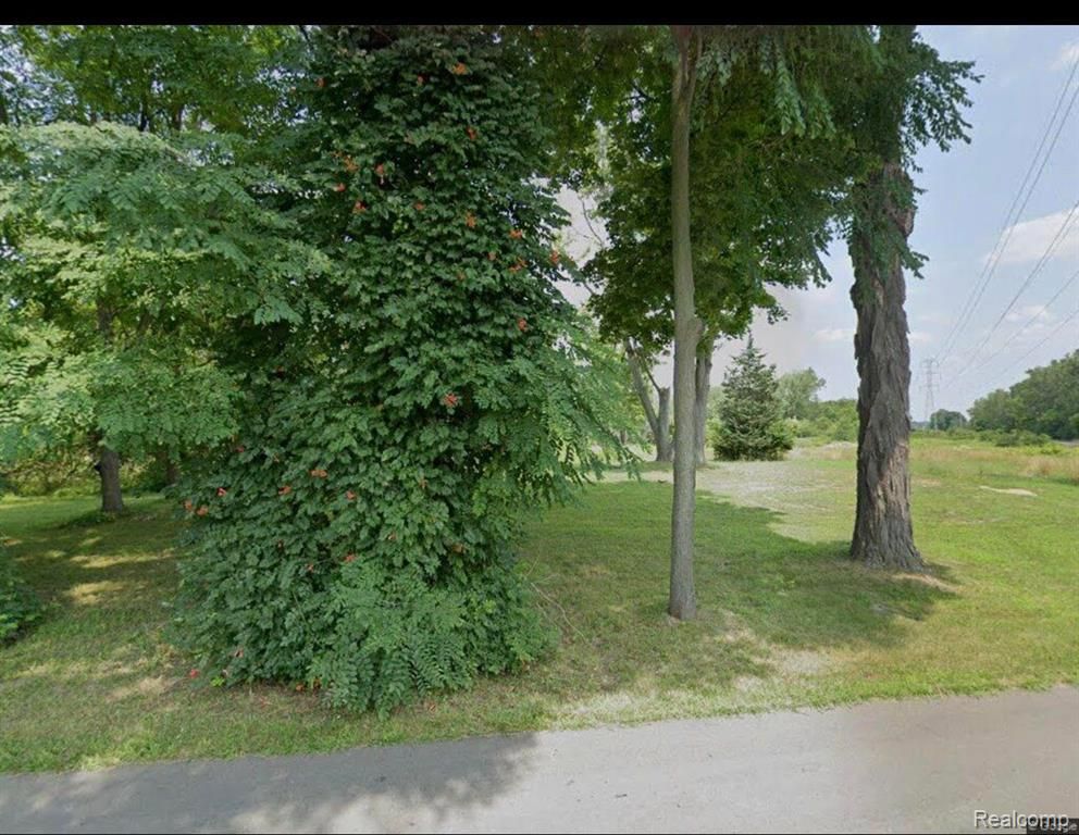 Taylor City, Michigan 48180, United States, ,Land,Active,134769