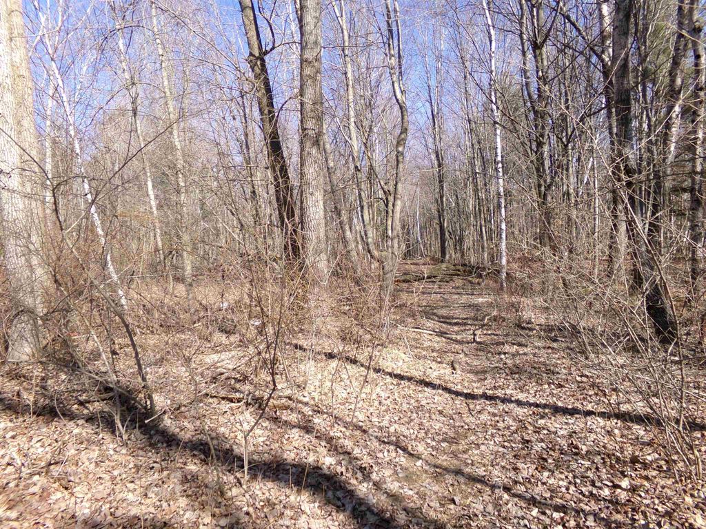 listing image 73