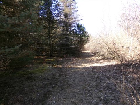 listing image 79