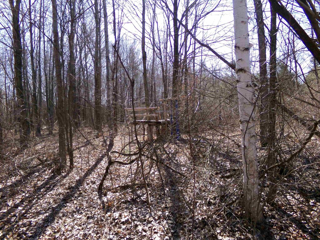 listing image 72