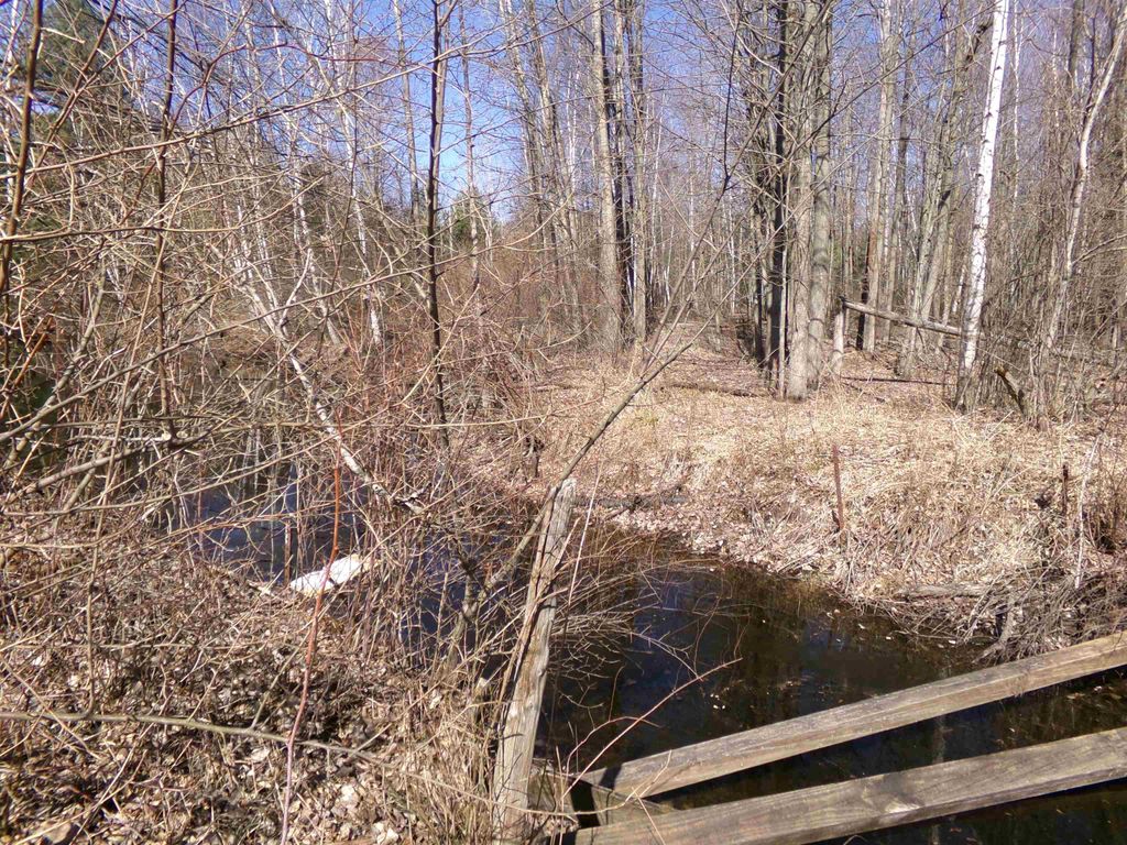 listing image 75