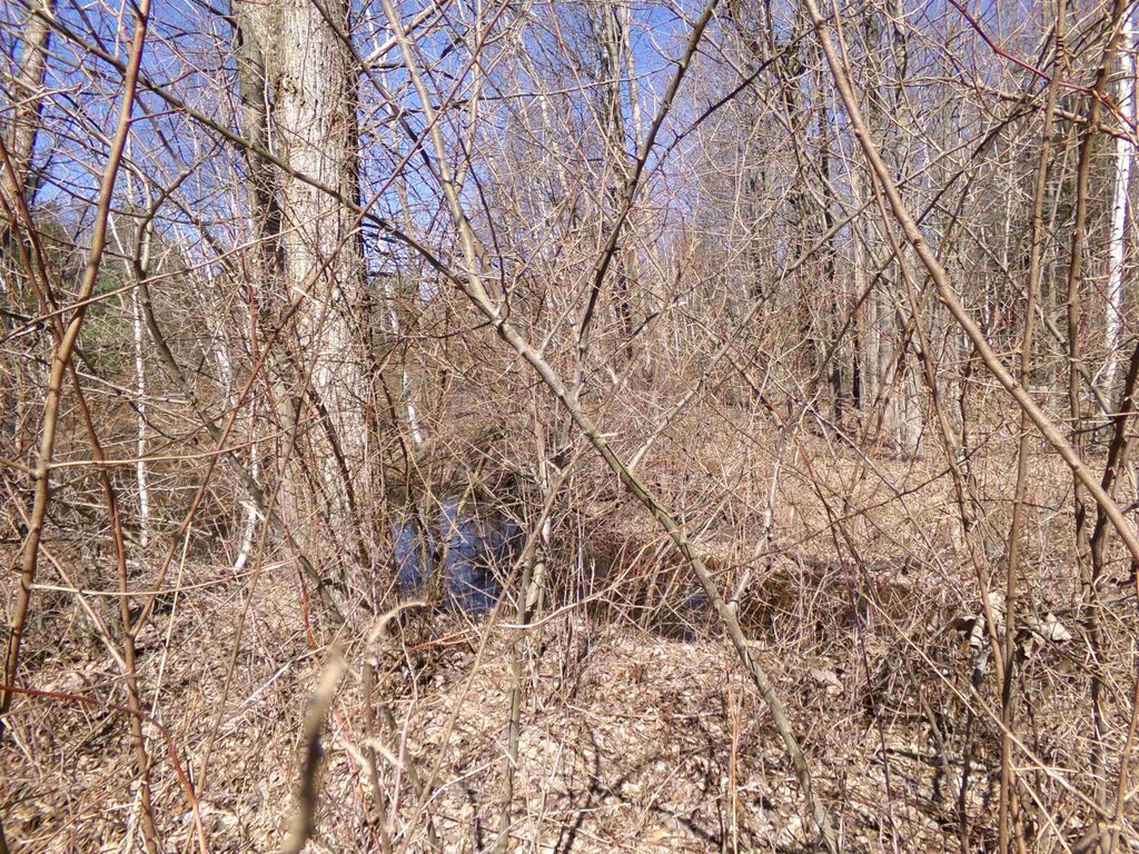 listing image 76