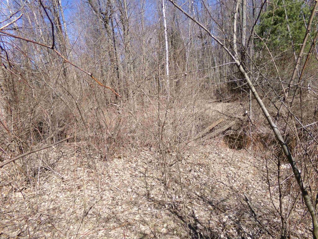 listing image 77