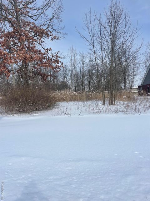 0000 Grays Drive Grosse Ile Township MI 48138