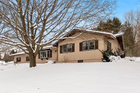 16863 3rd Street Copemish Village MI 49625