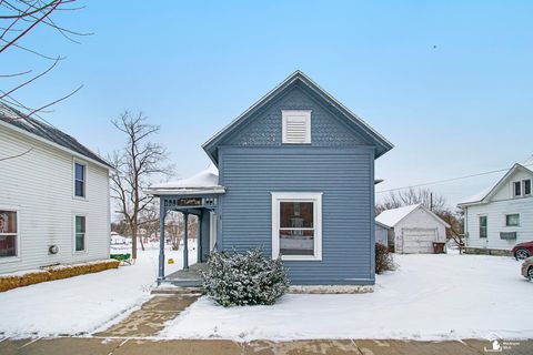 279 Riley Street Dundee Village MI 48131
