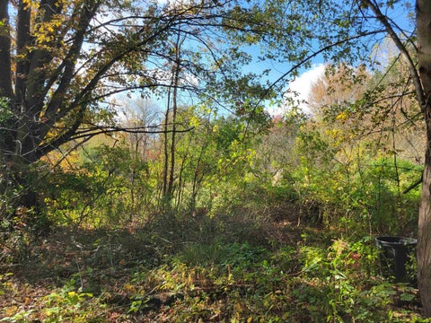 Tiny photo for 1806 S Poseyville Road, Ingersoll Township, MI 48640 (MLS # 61050224788)