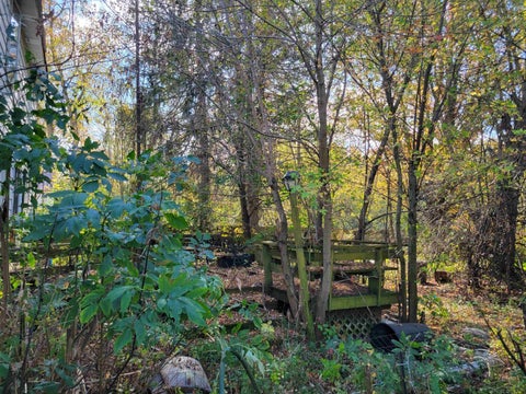 Tiny photo for 1806 S Poseyville Road, Ingersoll Township, MI 48640 (MLS # 61050224788)