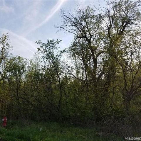 0000 S Lapeer Road Orion Charter Township MI 48362