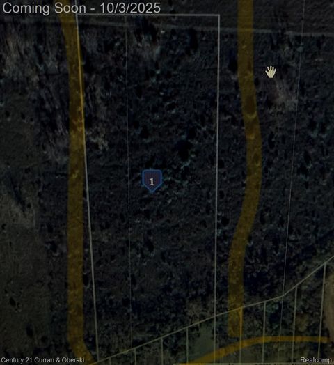 Argonne Ave 5 Acres Argonne Avenue Brownstown Charter Township MI 48134