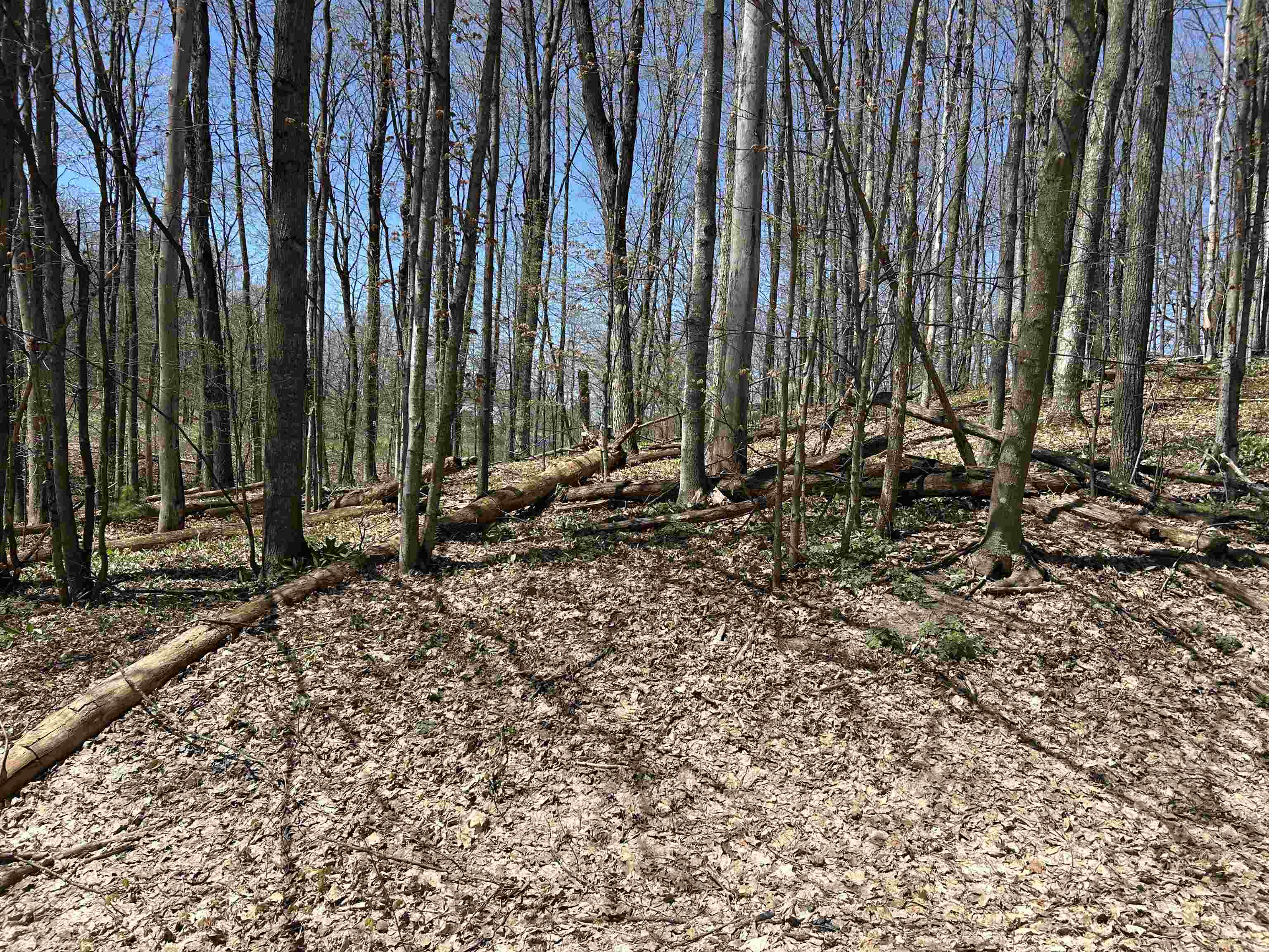 Lot 38 Courchevel Lane